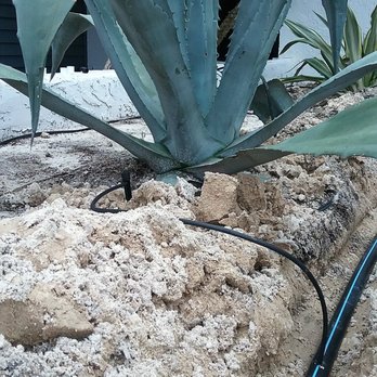 American Property Maintenance - Drip Irrigation Installation - Landscaping Near Me American Property Maintenance - Drip Irrigation Installation - Landscaping Near Me