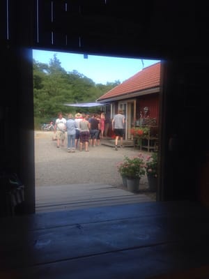 Båtshaket på Ålö by null