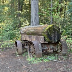 Drive-Thru Tree