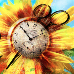 A Clip In Time - Lovely De Soto Kansas hair salon - A Clip in Time