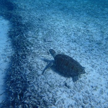 MarineLab - Community Service/Non-Profit Near Me - Key Largo, Florida