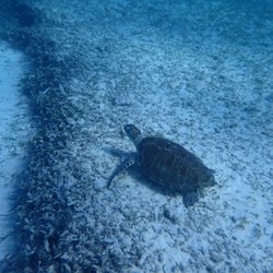 MarineLab