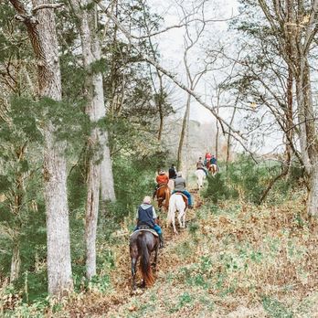 Stepping Stone Ranch - Horseback Riding Near Me - Richmond, Kentucky Stepping Stone Ranch - Horseback Riding Near Me - Richmond, Kentucky
