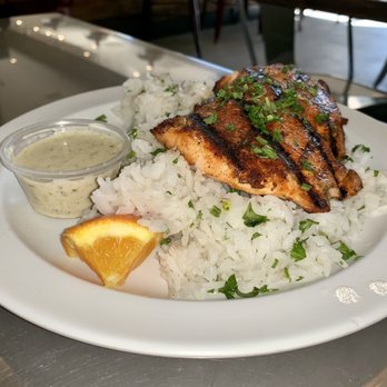 Dr Grubb's - Salmon was incredible - American Near Me - Claremont, California Dr Grubb's - Salmon was incredible - American Near Me - Claremont, California
