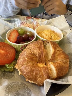 Chicken Salad Chick by null