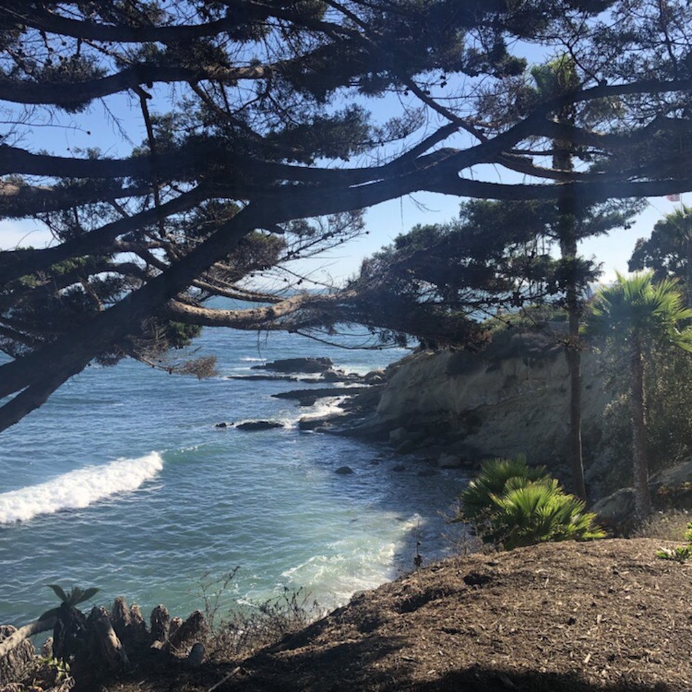 Divers Cove - Scuba Diving Near Me - Laguna Beach, California