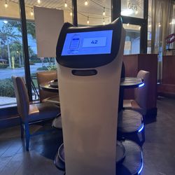 The robot