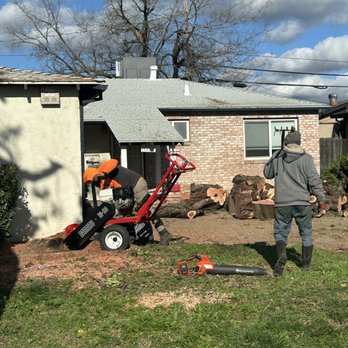 Chavez Tree Service - Stump Removal in progress - Tree Services Near Me - Tracy, California Chavez Tree Service - Stump Removal in progress - Tree Services Near Me - Tracy, California