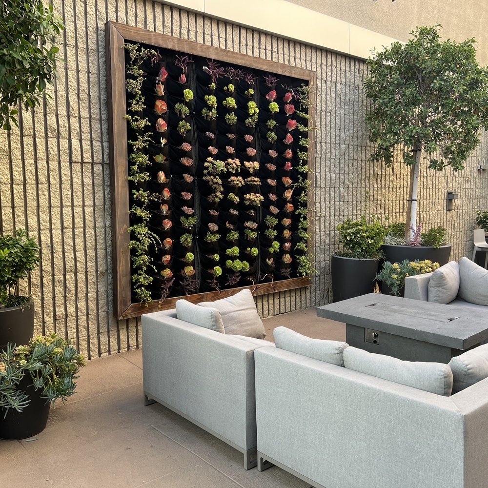 Hilton Pasadena - Patio - Hotels Near Me - Pasadena, California Hilton Pasadena - Patio - Hotels Near Me - Pasadena, California