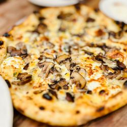 Gjelina - Mushroom , Fontina , Truffl E Tremor Goat Cheese & Thyme Pizza