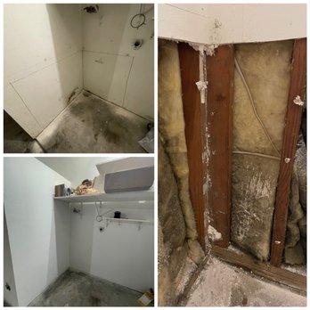 EG’s Built Construction - Before and after - mold treatment - General Contractors Near Me - Rolling Hills, California EG’s Built Construction - Before and after - mold treatment - General Contractors Near Me - Rolling Hills, California