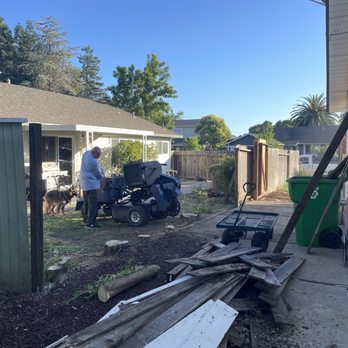 ASAP Stump Removal & Tree Service - Tree Services Near Me - Napa, California