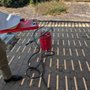 Photo of So-Cal Rattlesnake Removal