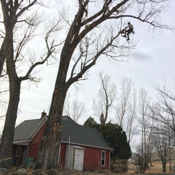 Paonia Tree Services - Reducing dangerous limb over house. - Tree Services Near Me Paonia Tree Services - Reducing dangerous limb over house. - Tree Services Near Me