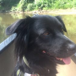Loudonville Canoe Livery - Bernie loves canoeing!