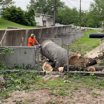 Hill Tree Service - Tree Services Near Me - Oak Grove, Missouri Hill Tree Service - Tree Services Near Me - Oak Grove, Missouri