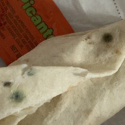 MOLD on MCDONALDS BREAKFAST BURRITO MOLD on MCDONALDS BREAKFAST BURRITO