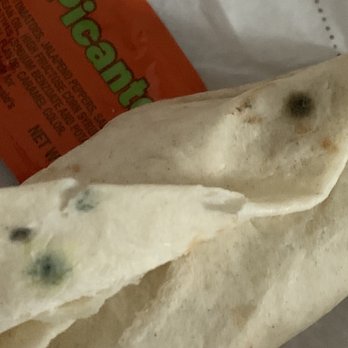 McDonald's - MOLD on MCDONALDS BREAKFAST BURRITO - Burgers Near Me - Houston, Texas McDonald's - MOLD on MCDONALDS BREAKFAST BURRITO - Burgers Near Me - Houston, Texas