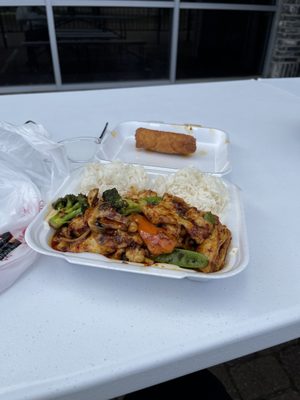 The Flying Dumpling by null
