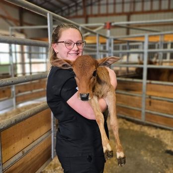 County Line Veterinary Services - Veterinarians Near Me - Danville, Alabama County Line Veterinary Services - Veterinarians Near Me - Danville, Alabama