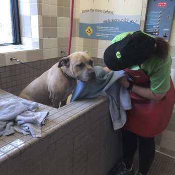 Pet Food Express - Bath time - Pet Stores Near Me - Martinez, California Pet Food Express - Bath time - Pet Stores Near Me - Martinez, California