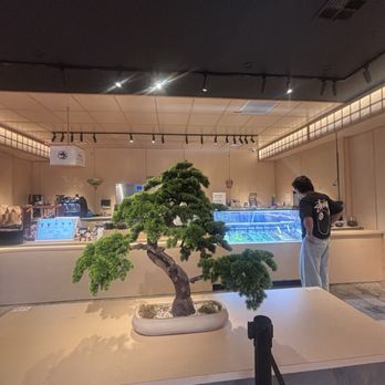 Matsu Matcha - Interior - Coffee & Tea Near Me - Los Angeles, California
