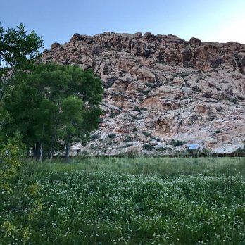 Red Spring - Springtime - Hiking Near Me - Las Vegas, Nevada