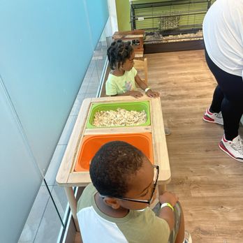 Be with Me Playseum - We can't resist petting the bunnies - Indoor Playcenter Near Me - Columbia, Maryland Be with Me Playseum - We can't resist petting the bunnies - Indoor Playcenter Near Me - Columbia, Maryland