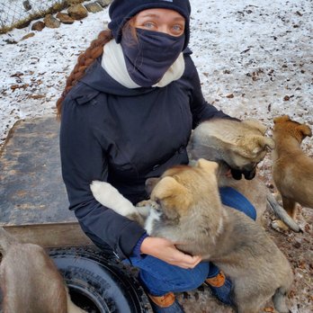 Black Spruce Dog Sledding - The puppies were just too cute - and super friendly! - Sledding Near Me - Fairbanks, Alaska