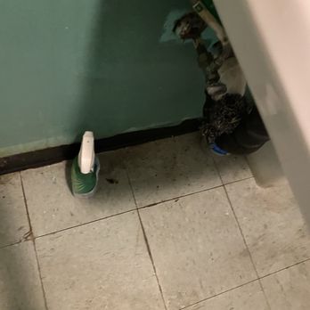 Ming Garden - Nasty bathroom - Chinese Near Me - Newport News, Virginia Ming Garden - Nasty bathroom - Chinese Near Me - Newport News, Virginia