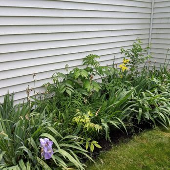 E & L Lawn Care - "Mulched" flower bed, complete with last year's weeds! Only $530! - Tree Services Near Me - Columbus, Ohio