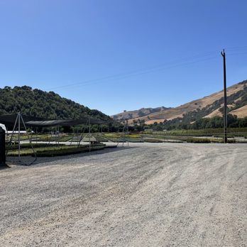 Western Star Nurseries - Nurseries & Gardening Near Me - Sunol, California