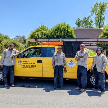 Nor Cal Fumigation - Pest Control Near Me - San Jose, California Nor Cal Fumigation - Pest Control Near Me - San Jose, California