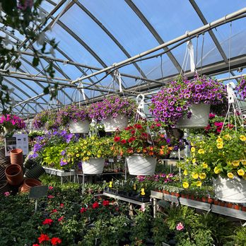 Mazzocca's Greenhouse - Nurseries & Gardening Near Me - Massillon, Ohio