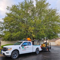 Joel's Tree Service