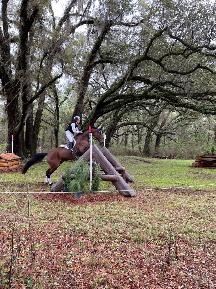 RED HILLS HORSE TRIALS Updated April 2024 14 Photos 4000 N