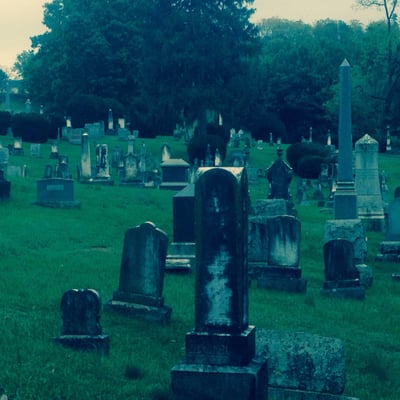 Thornrose Cemetery by null