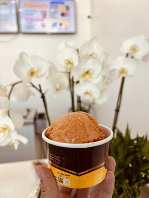 Dang Good Ice Cream by null