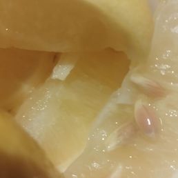 Old soggy sticky lemons