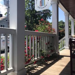 Beautiful roses from the deck. Beautiful roses from the deck.
