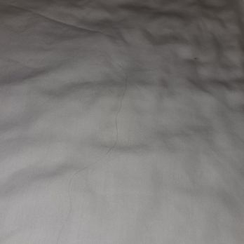 Peach Tree Inn - Hair in the bed - Hotels Near Me - San Luis Obispo, California Peach Tree Inn - Hair in the bed - Hotels Near Me - San Luis Obispo, California