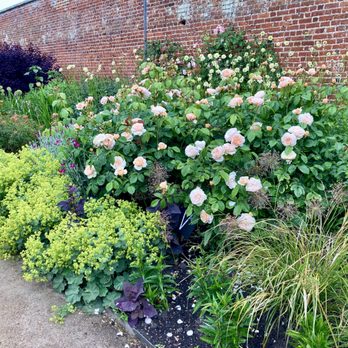 Wimpole Hall - Wimpole Hall Walled Garden - Museums Near Me - Royston, CAM