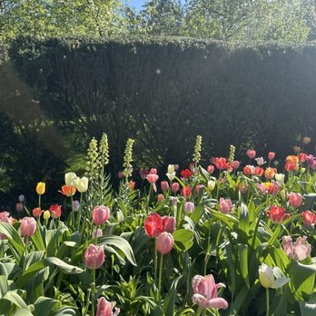 Dumbarton Oaks - Botanical Gardens Near Me - Washington, DC, District of Columbia