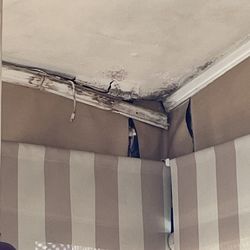 Wendy's - Ceiling corner