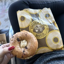 Chocolate Chip Bagel