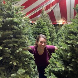 Moon Valley Christmas Trees