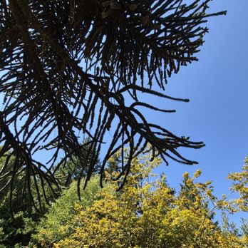 VanDusen Botanical Garden - Botanical Gardens Near Me - Vancouver, British Columbia