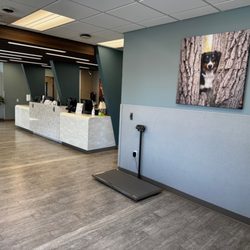 VCA Cottonwood Animal Hospital