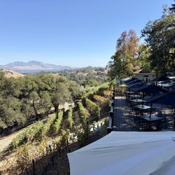 Bhachu Vineyards