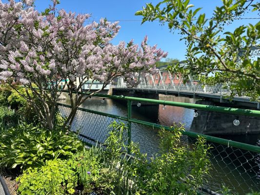 Bridge of Flowers by null